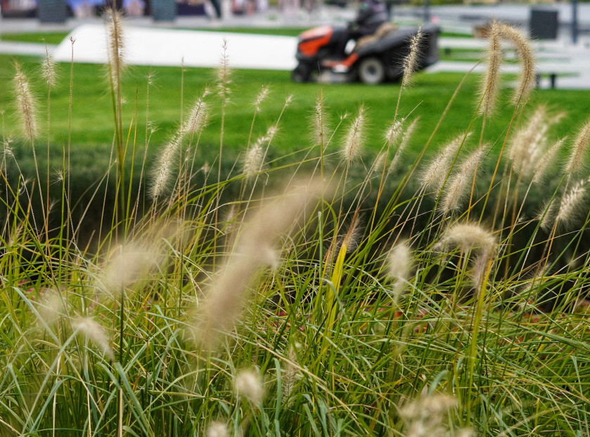 Studija: Visok nivo sredstva protiv korova pronađen u 55 odsto uzoraka sperme