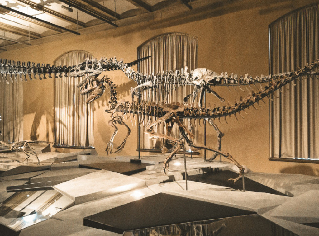 Naučnici: Poslednji obrok tiranosaurusa bile su dve bebe dinosaurusa, što predstavlja novo otkriće o njihovoj ishrani