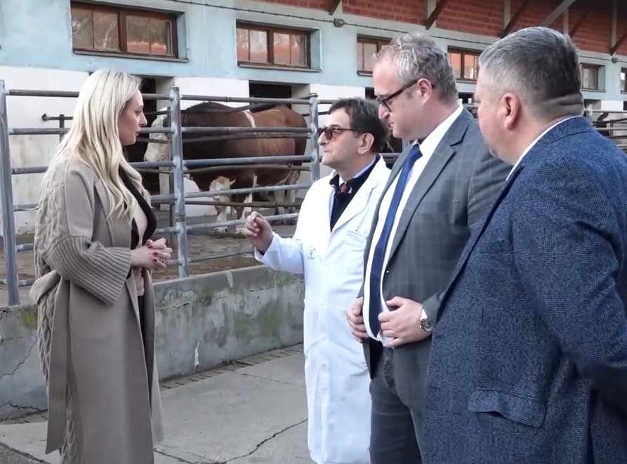 Jelena Tanasković: Iz uvoza stigli priplodni bikovi u Stočarsko-veterinarski centar u Velikoj Plani