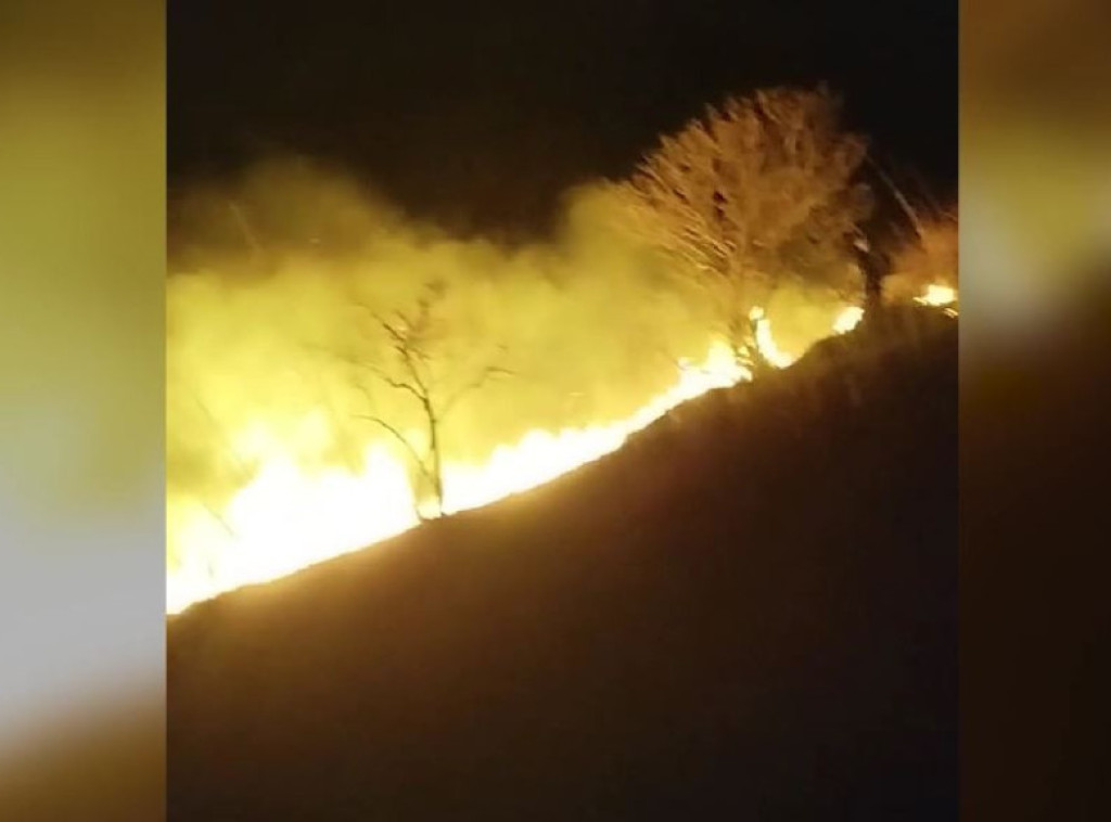 Ugašen veliki požar kod Rakovca na Fruškoj gori