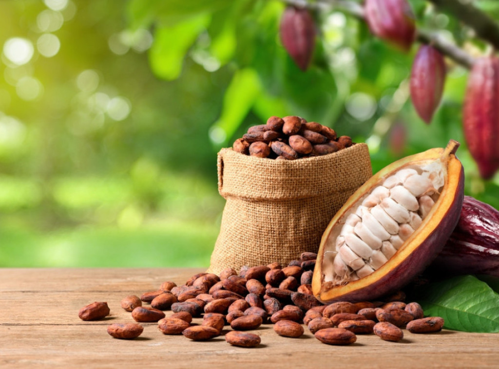Kakao poskupeo na novi istorijski maksimum od približno 6.400 dolara po toni