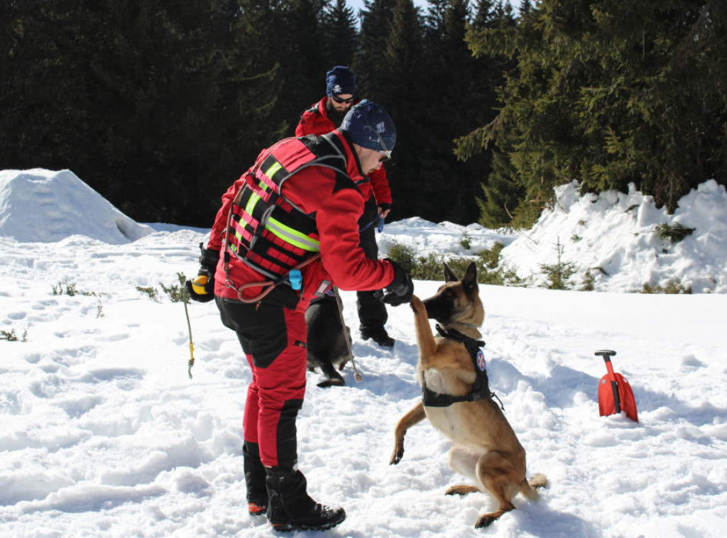 Na Kopaoniku održana obuka pasa za potrage i spasavanje iz lavina