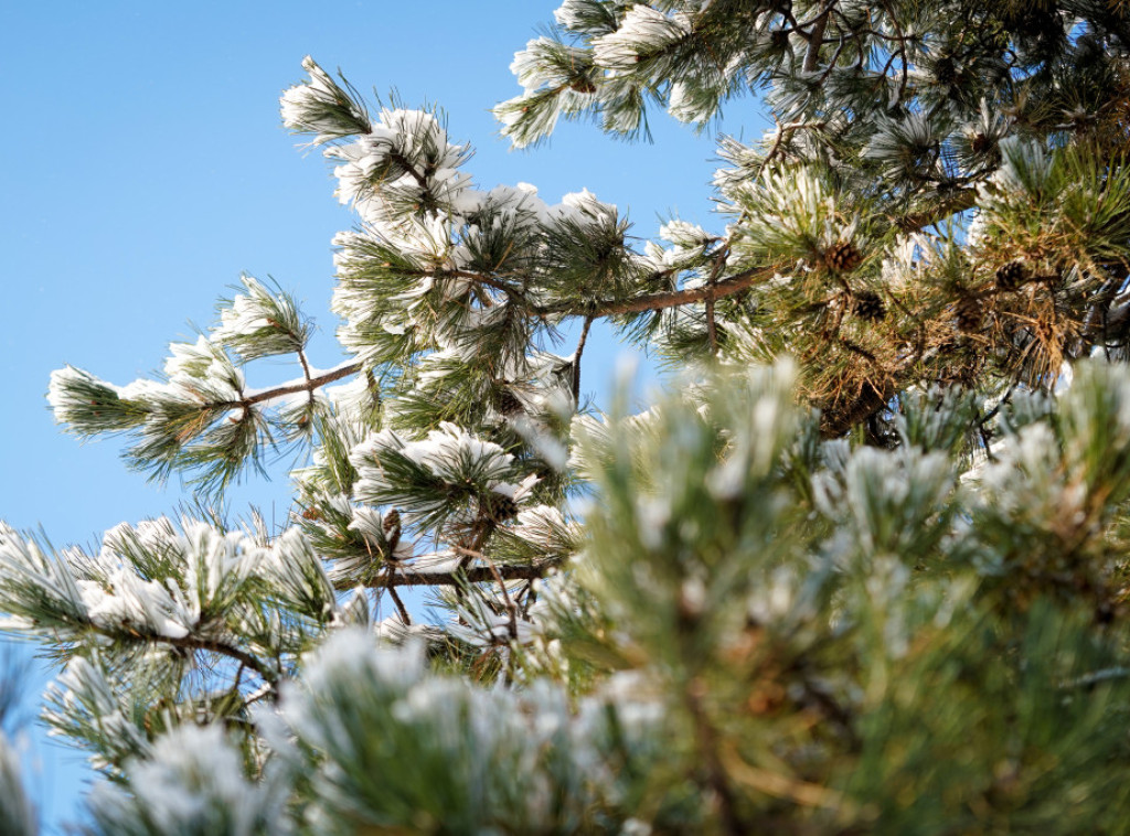 U Srbiji danas pretežno oblačno, ponegde sa kišom, temperature od 5 do 13 stepeni