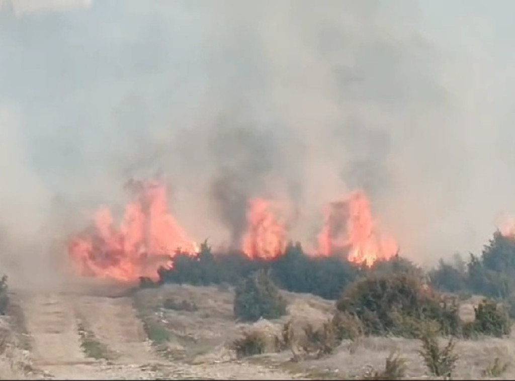 Požar u Babinama zahvatio više od 100 hektara, trenutno pod kontrolom