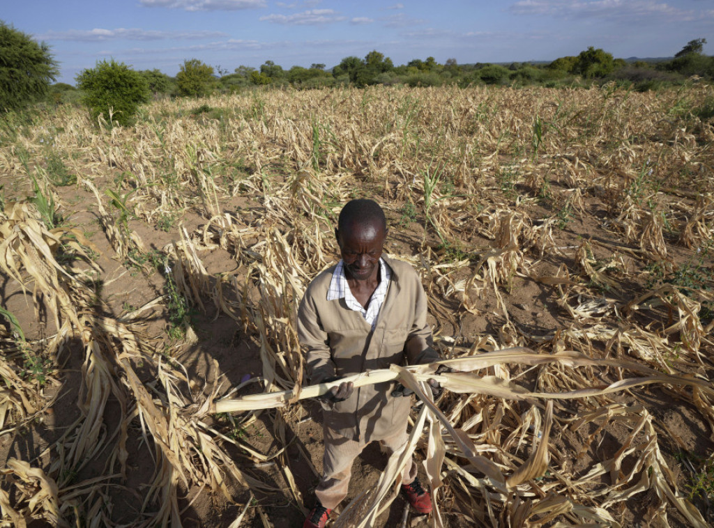 Zimbabveu, koji je proglasio nacionalnu katastrofu zbog suše, preti glad
