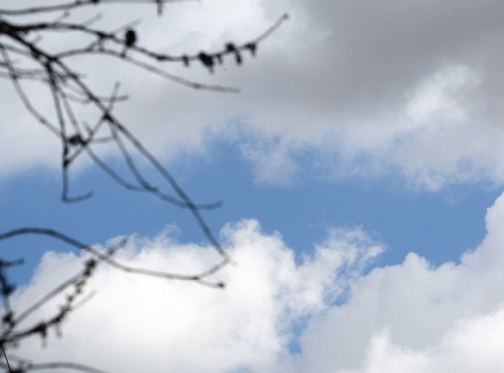 U Srbiji danas počinje jaka košava i zahlađenje, temperatura do 10 stepeni