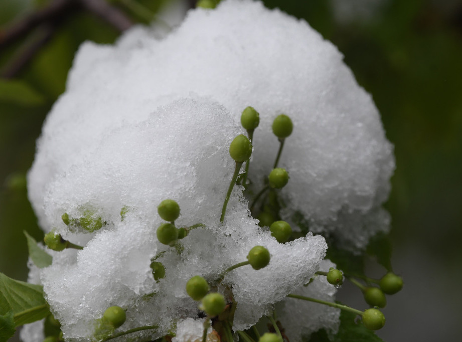 Putevi Srbije: Snega ima mestimično na teritoriji Ivanjice, Kruševca, Zaječara