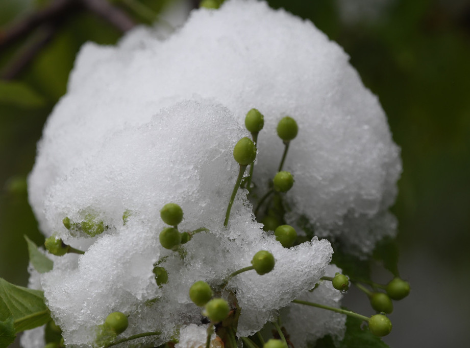 Putevi Srbije: Snega ima mestimično na teritoriji Ivanjice, Kruševca, Zaječara