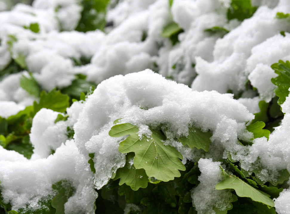 Italiju pogodilo snežno nevreme, žuti meteo alarm u centralnim i južnim delovima