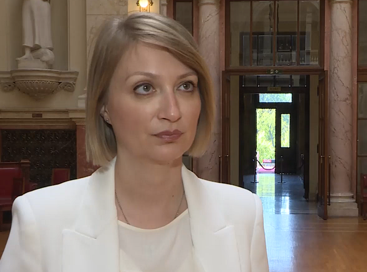 Pantić Pilja na debati u Parlamentarnoj skuštini Saveta Evrope o protestima: Srbija očuvala mir i stabilnost u zemlji