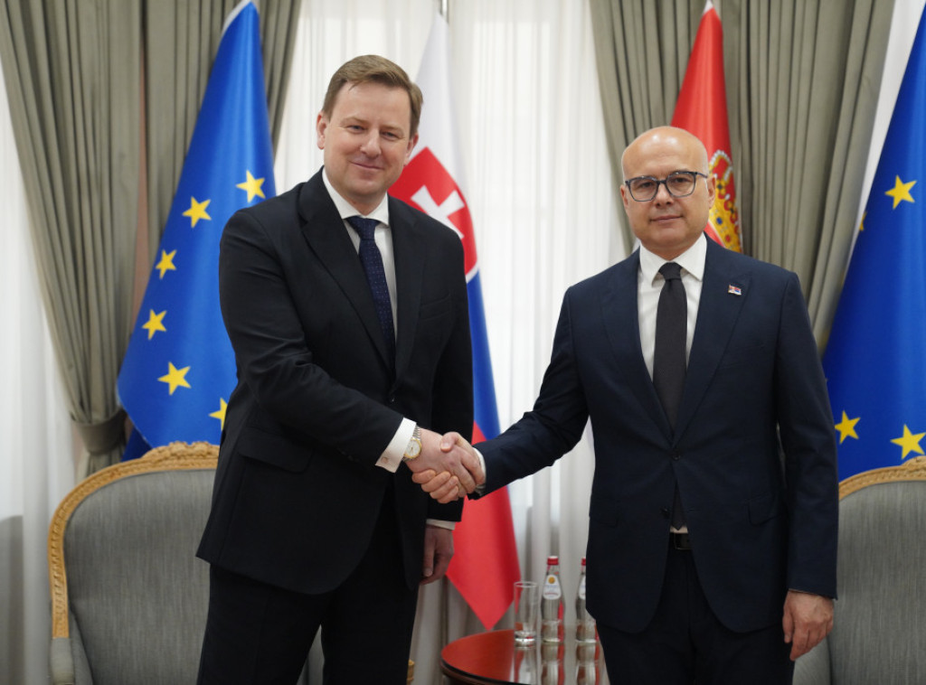 Vucevic receives Slovak ambassador