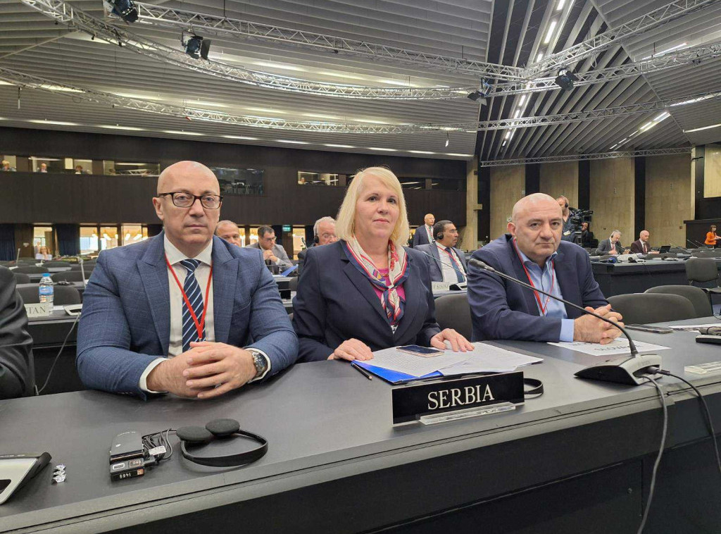 Delegacija Srbije u Parlamentarnoj skupštini NATO na prolećnom zasedanju ukazala na ugroženost Srba na KiM