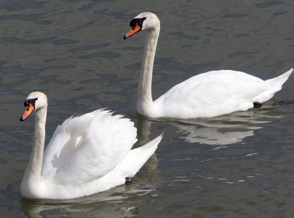 U Srbiji danas popodne razvedravanje, temperature do 23 stepena
