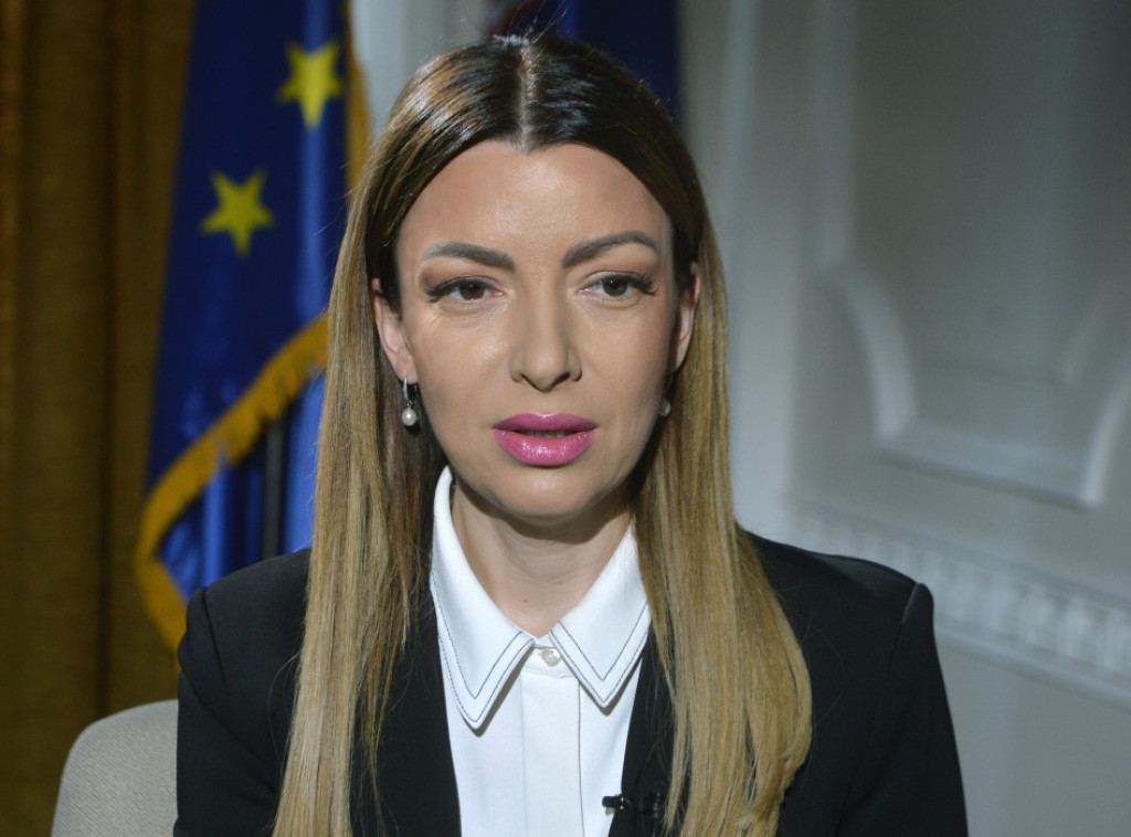 Mesarović: Opozicija neće demokratiju već obojenu revoluciju