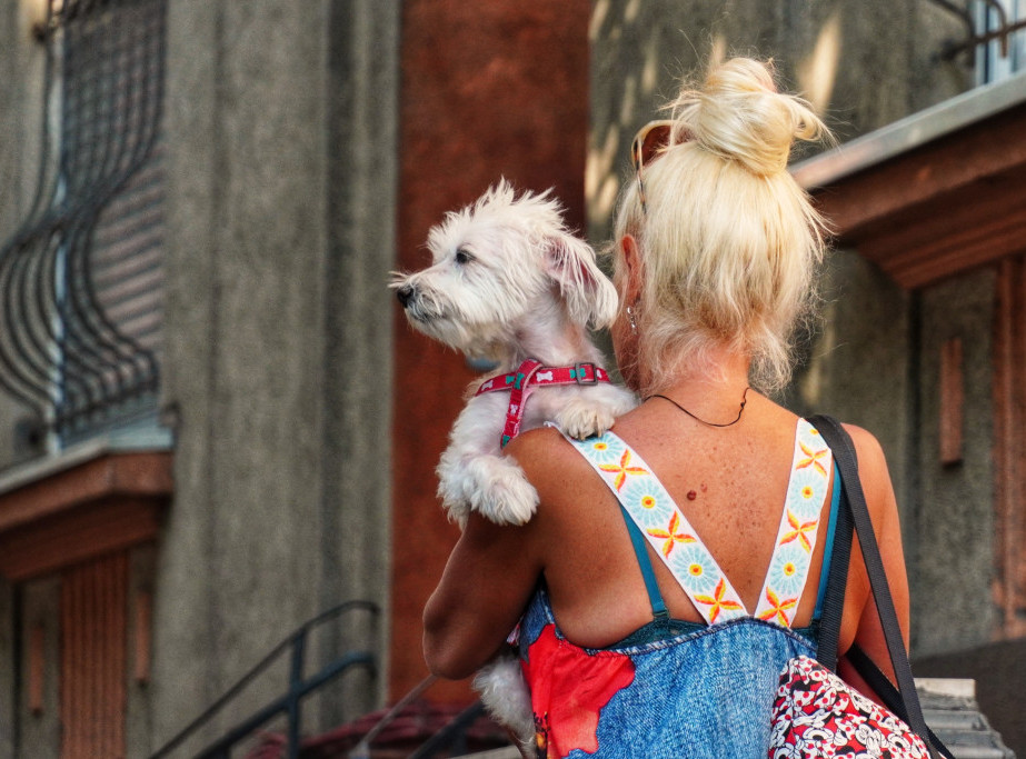 Boban Đurić: Putovanje sa kućnim ljubimcima u EU uskoro jednostavnije i jeftinije
