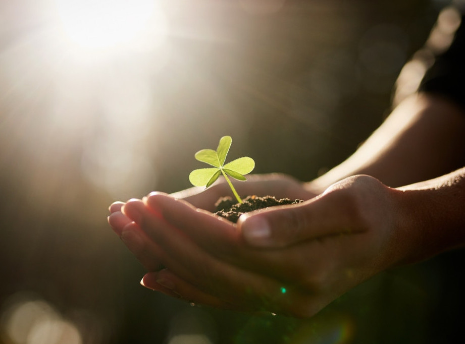 Lidington Research:Skok cene đubriva uticao na troškove 78 odsto gazdinstava u Srbiji