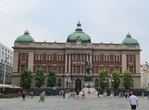 Izložba fotografija "Nevidljivi svet" od 18. juna u Narodnom muzeju