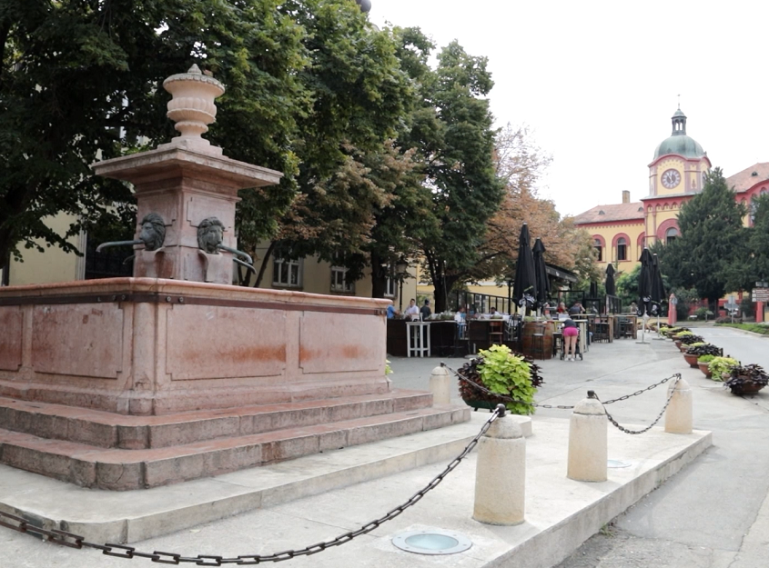 U Sremskim Karlovcima obeležena 178. godišnjica Majske skupštine
