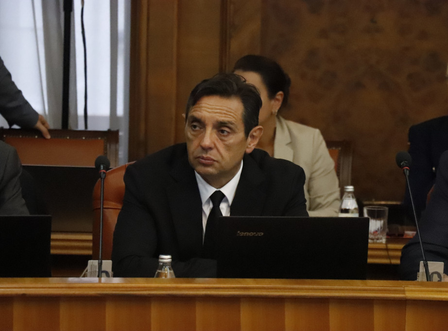 Vulin: Vučić pokazao da slobodnu Srbiju može voditi samo lider koga veliki ne plaše