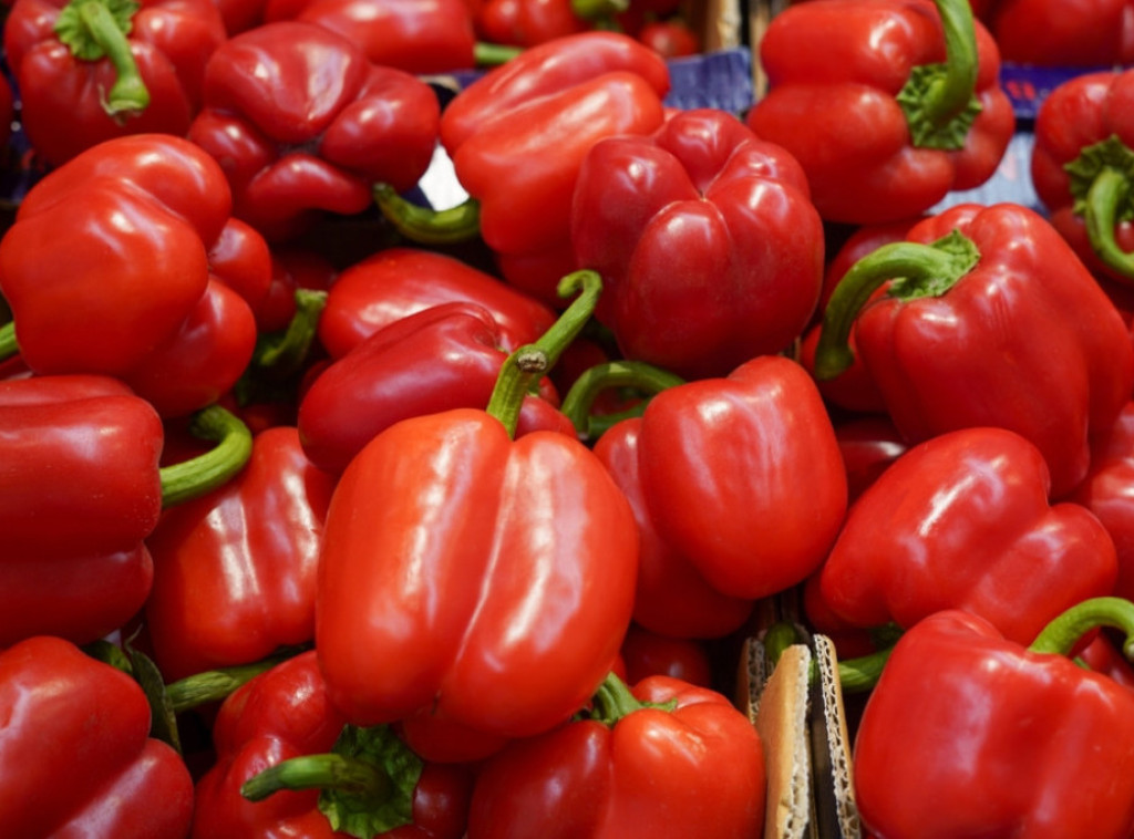 Najtraženija crvena paprika na Veletržnici Beograd