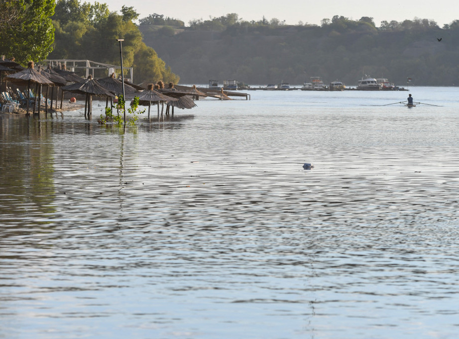 Sprovedena akcija čišćenja obale Dunava u Smederevu, Puzović: Dunav važan za razvoj Srbije