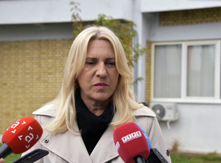 Željka Cvijanović: Helezova uvreda na račun predsednika Srbije je skandalozna i sramna