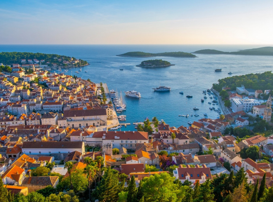 Hrvatska: Jadranom se širi invazivna vrsta alge, upozorio Institut okeanografije