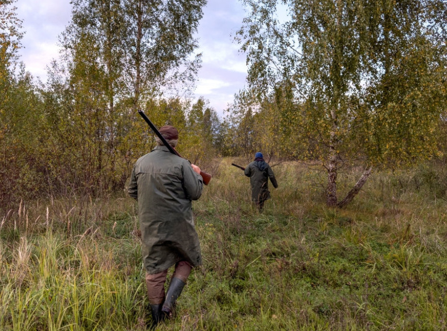 Odstrel divokoze i mužjaka običnog jelena u lovnoj sezoni 2025/26 po 150.000 dinara
