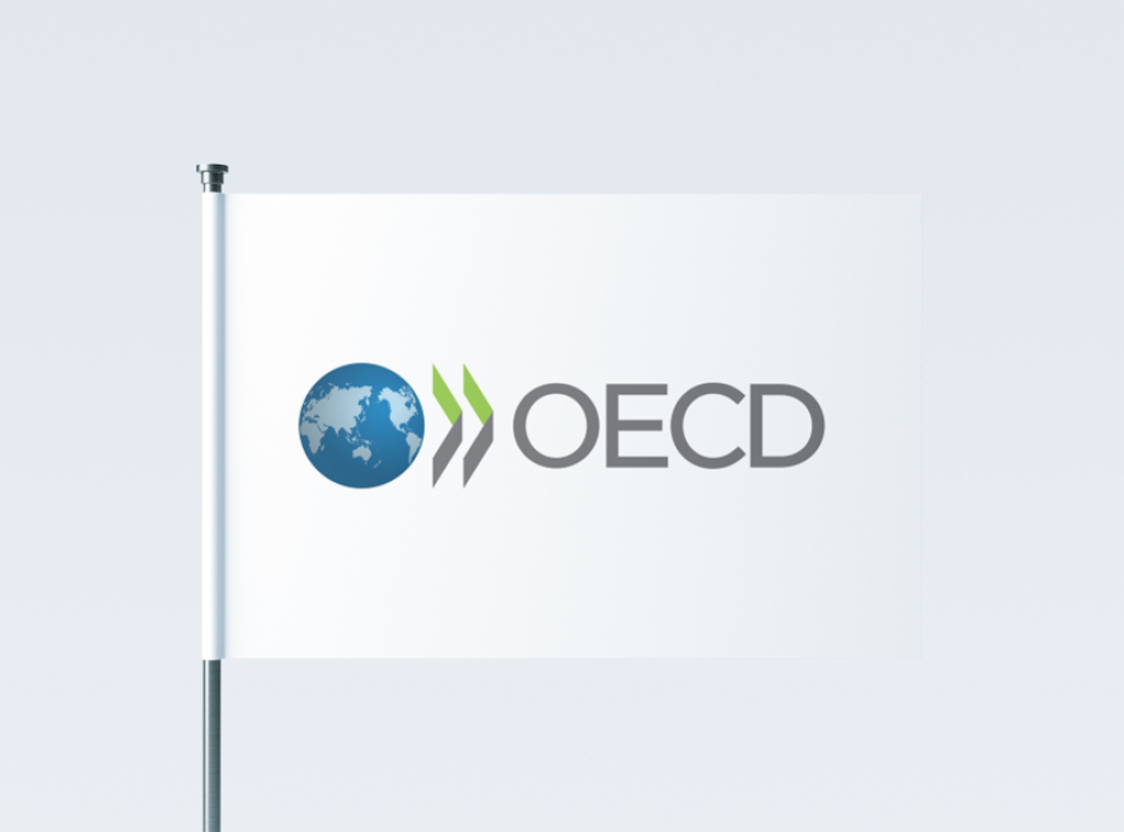 OECD: Mladi i muškarci najusamljenije grupe u Evropi, osam odsto nema bliske prijatelje