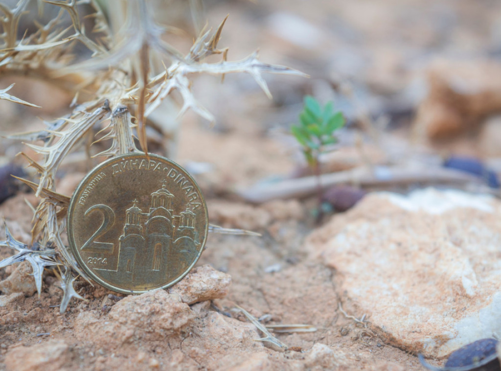 Dinar-to-euro exchange rate at RSD 117.1764