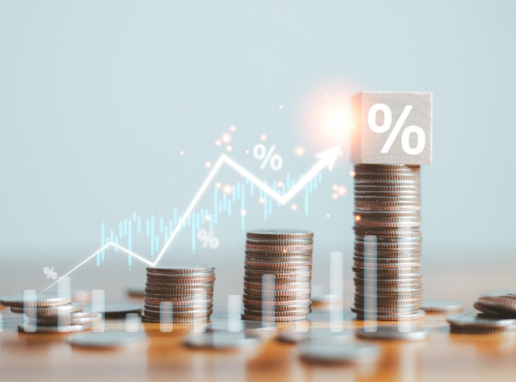 RZS: Međugodišnja inflacija u junu iznosila je 4,6 odsto, mesečna 0,9 odsto