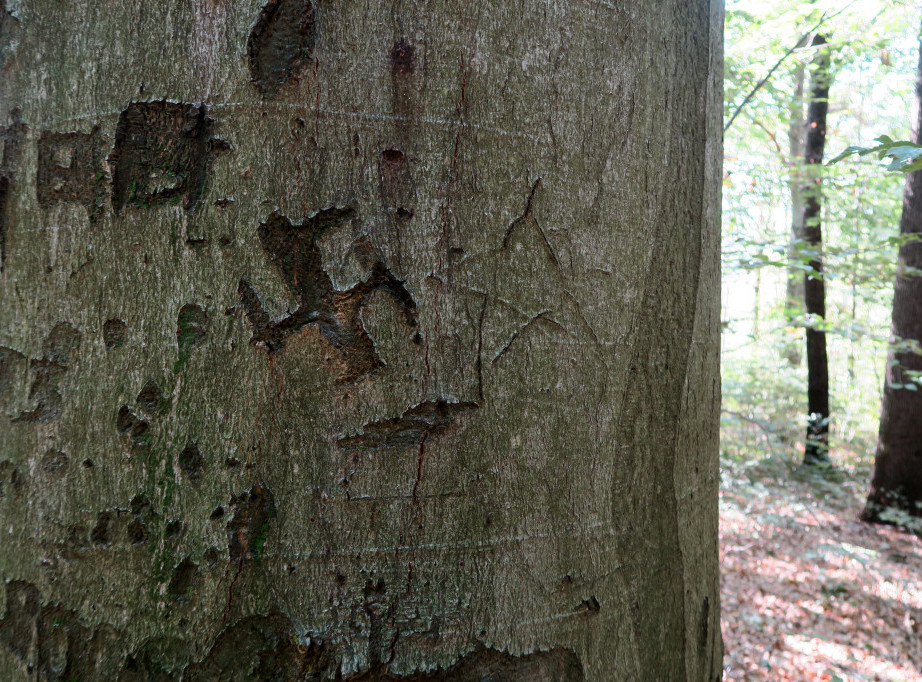 Slovenija: Svastika oskrnavila spomenik iz Drugog svetskog rata u mestu Dražgoše