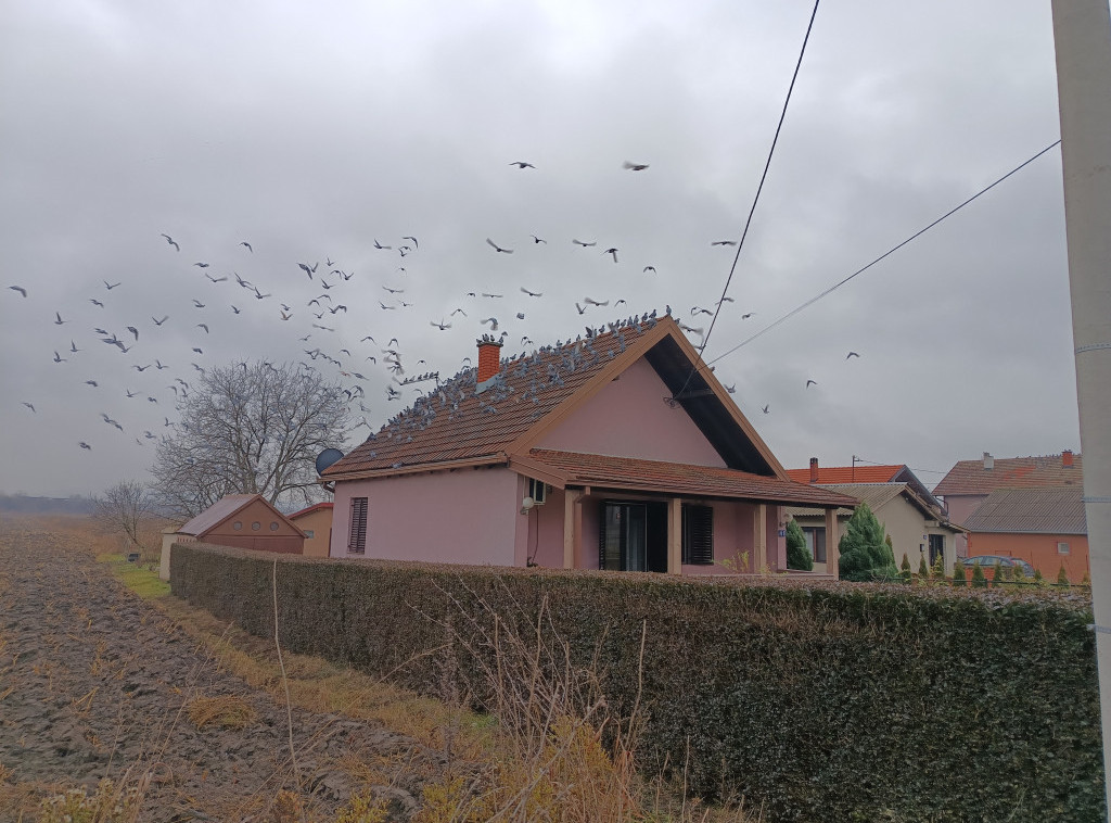 U Srbiji danas umereno oblačno, najviša dnevna temperatura od 16 do 22 stepena