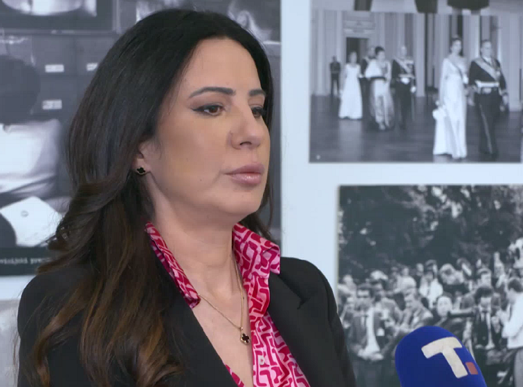 Danijela Nikolić: Olovka pobedila duge cevi Aljbina Kurtija