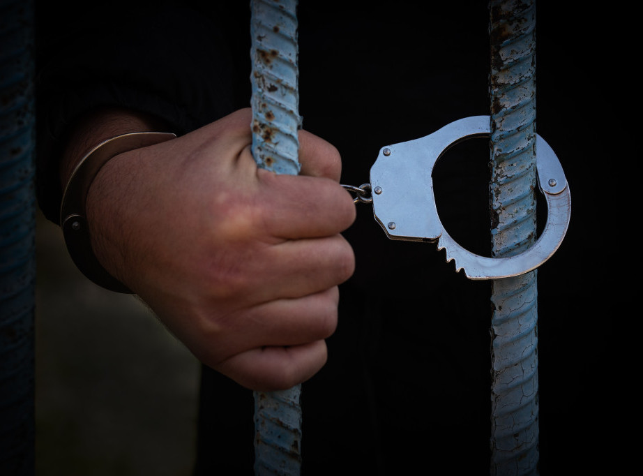 Viši sud u Beogradu: Osumnjičeni za ubistvo MMA borca ostaje u pritvoru