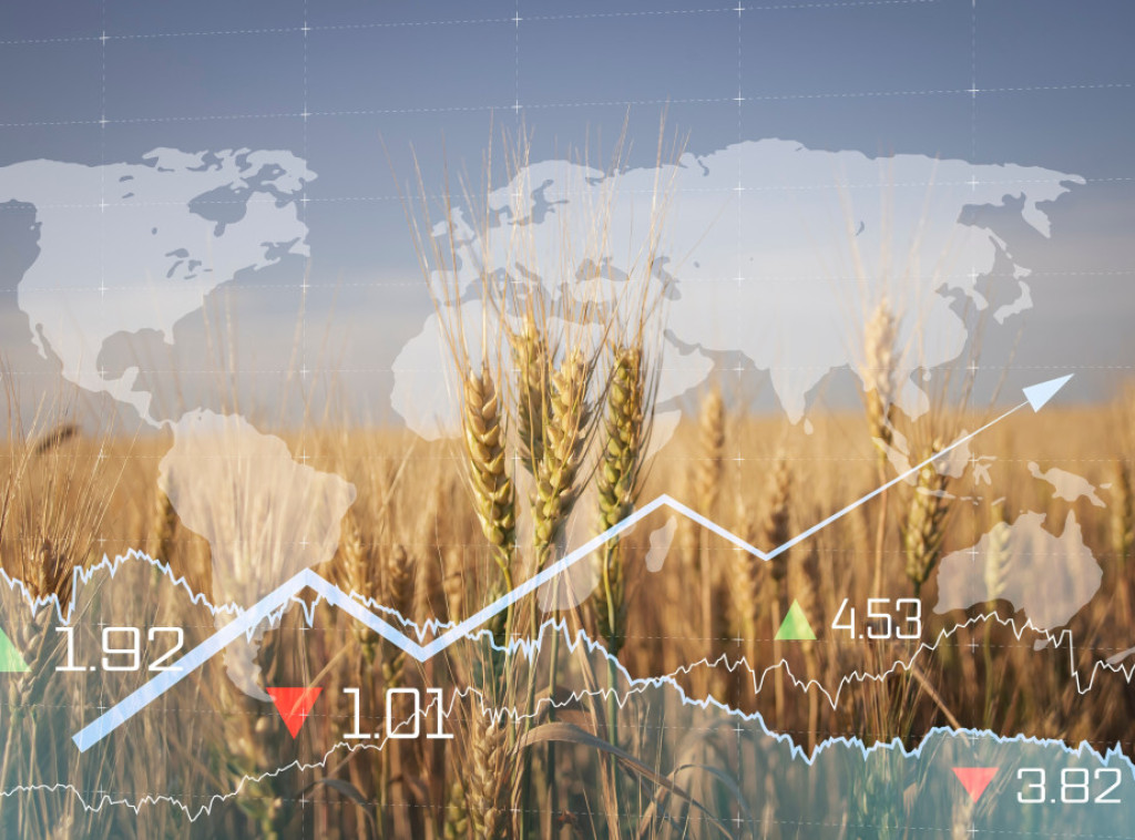 Lidington Research: Rast cena hrane u protekle tri godine nije rezultat jednog faktora