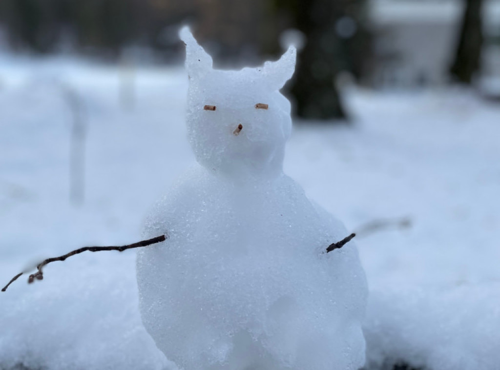 Hrvatska: Sneg na Vučjaku, na Jadranu bura