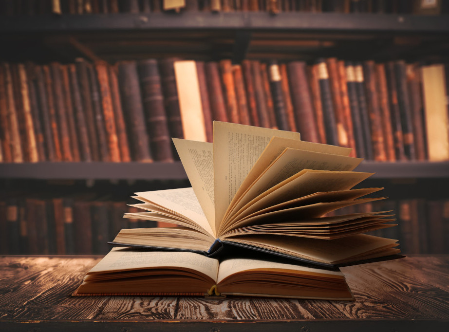 Objavljen roman Žarka Milenkovića "Rankin pogovor" o femicidu