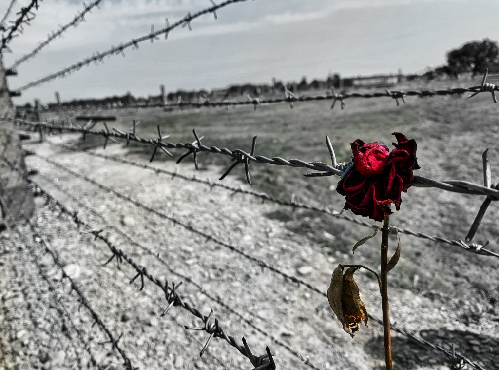 Položeni venci u sećanje na žrtve Holokausta na državnoj ceremoniji u Beogradu