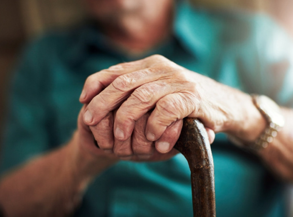 Vesna Pantelić: Demografsko starenje jedan od ključnih faktora savremenih ekonomskih tokova