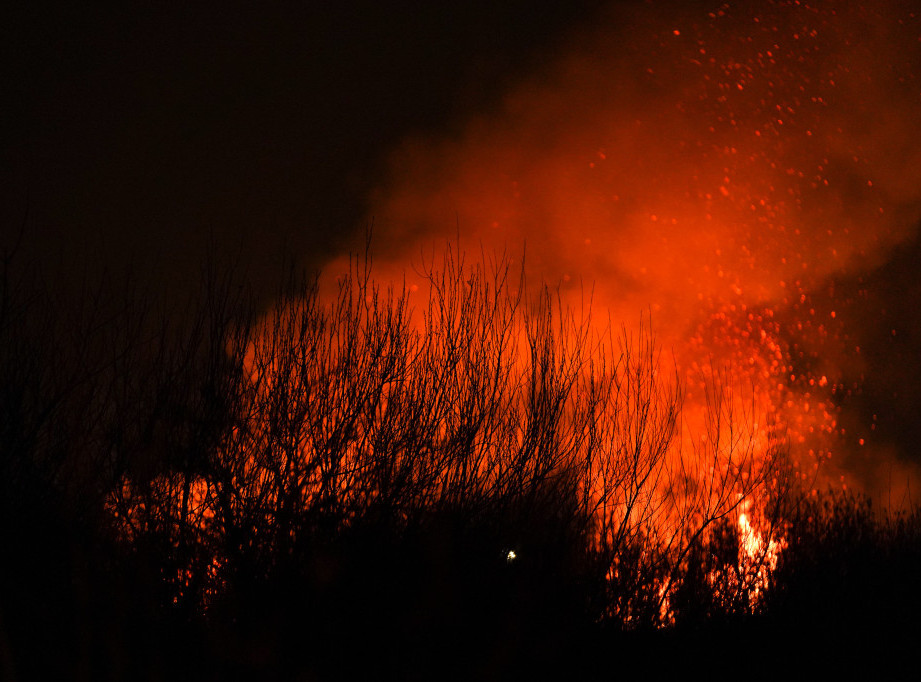 Požar zahvatio više od 25 hektara šume kod rumunskog grada Baja Mare