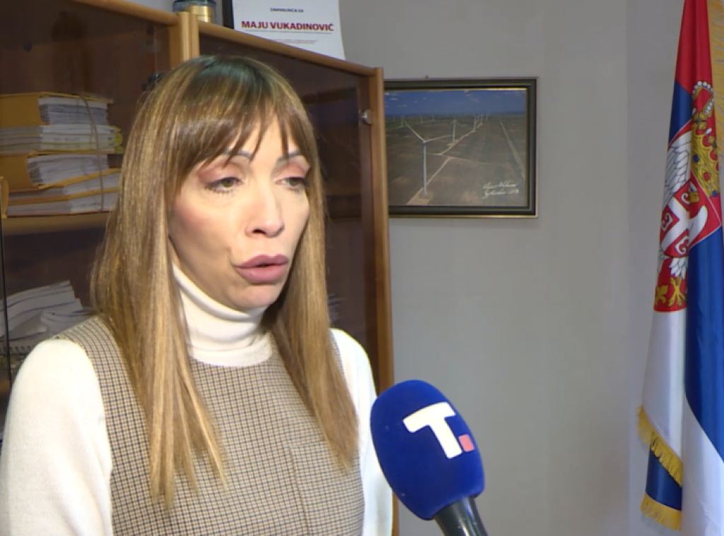 Maja Vukadinović: Srbija troši pet puta više energije od zemalja Evropske unije