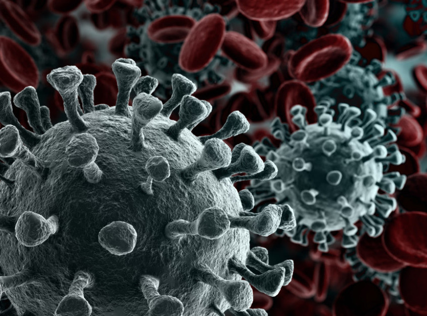 Dogodilo se na današnji dan - 11. mart