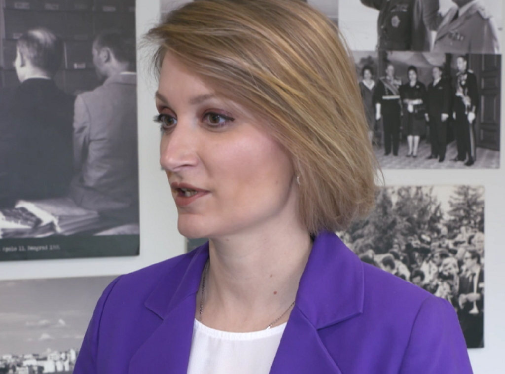 Pantic Pilja; Belgrade to present arguments against Pristina's request for CoE special guest status