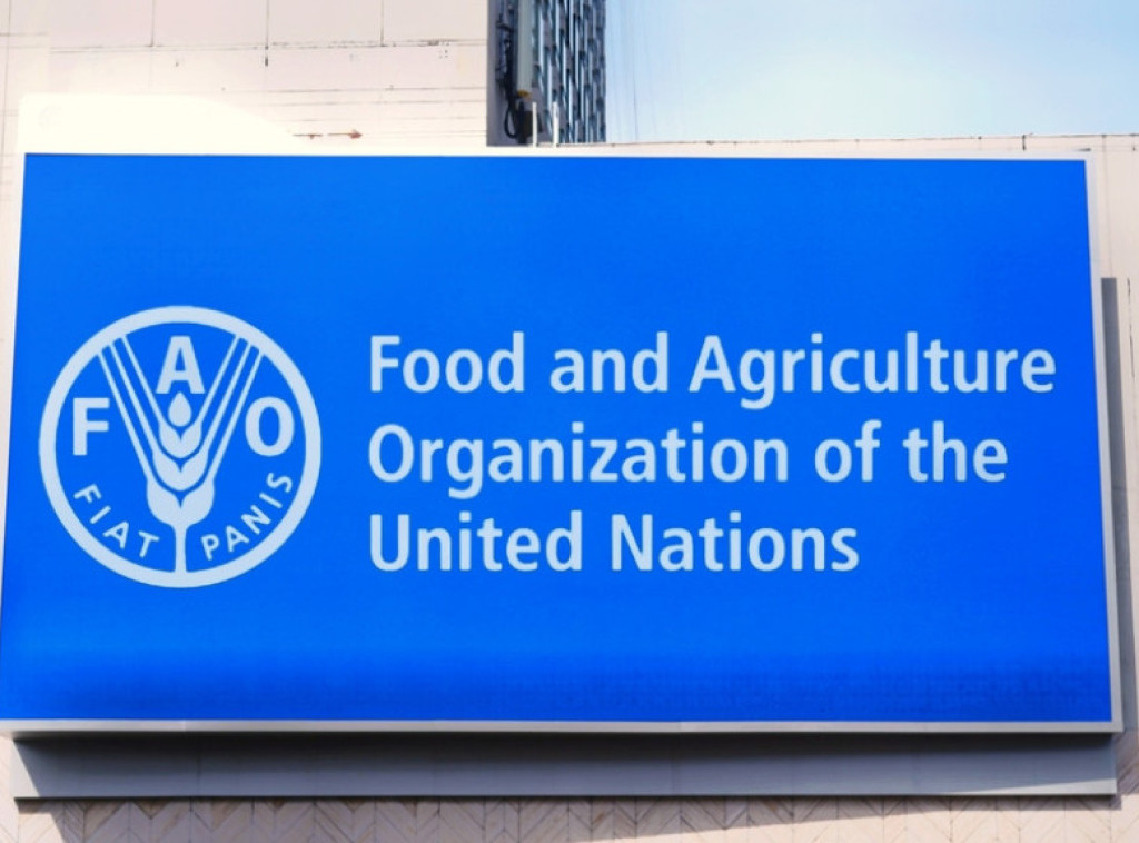 FAO: Svetske cene hrane porasle na najviši nivo za četiri meseca