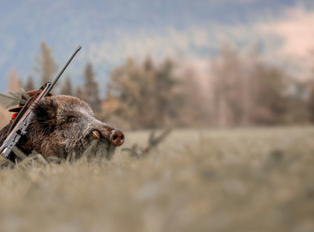 Uprava za šume poziva korisnike lovišta da unesu podatke iz godišnjeg plana