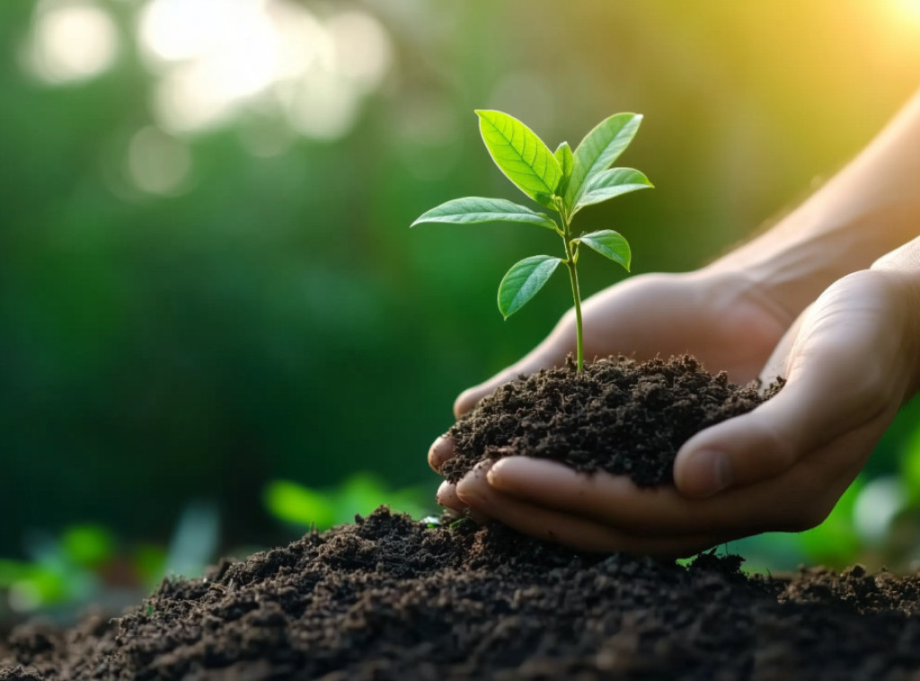 Park Ušće dobija novo drveće, uz maksimalno očuvanje postojećih stabala