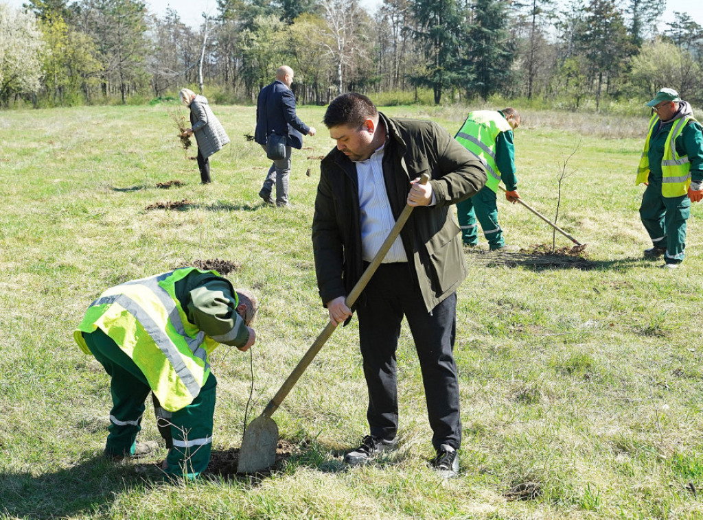 Sadnjom 100 sadnica hrastovog lužnjaka u Stepinom lugu obeležen Međunarodni dan šume