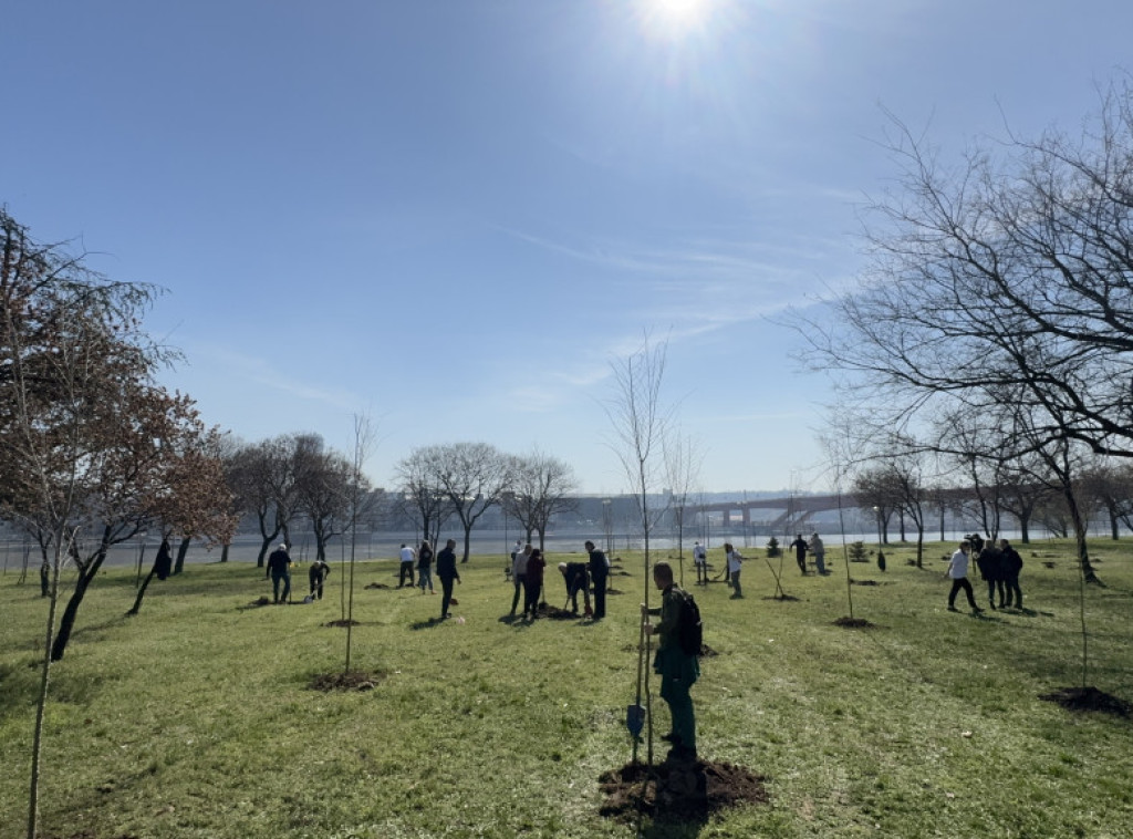 Dan šuma obeležen u Bojčinskoj šumi, poručeno da će se raditi na pošumljavanju Srbije