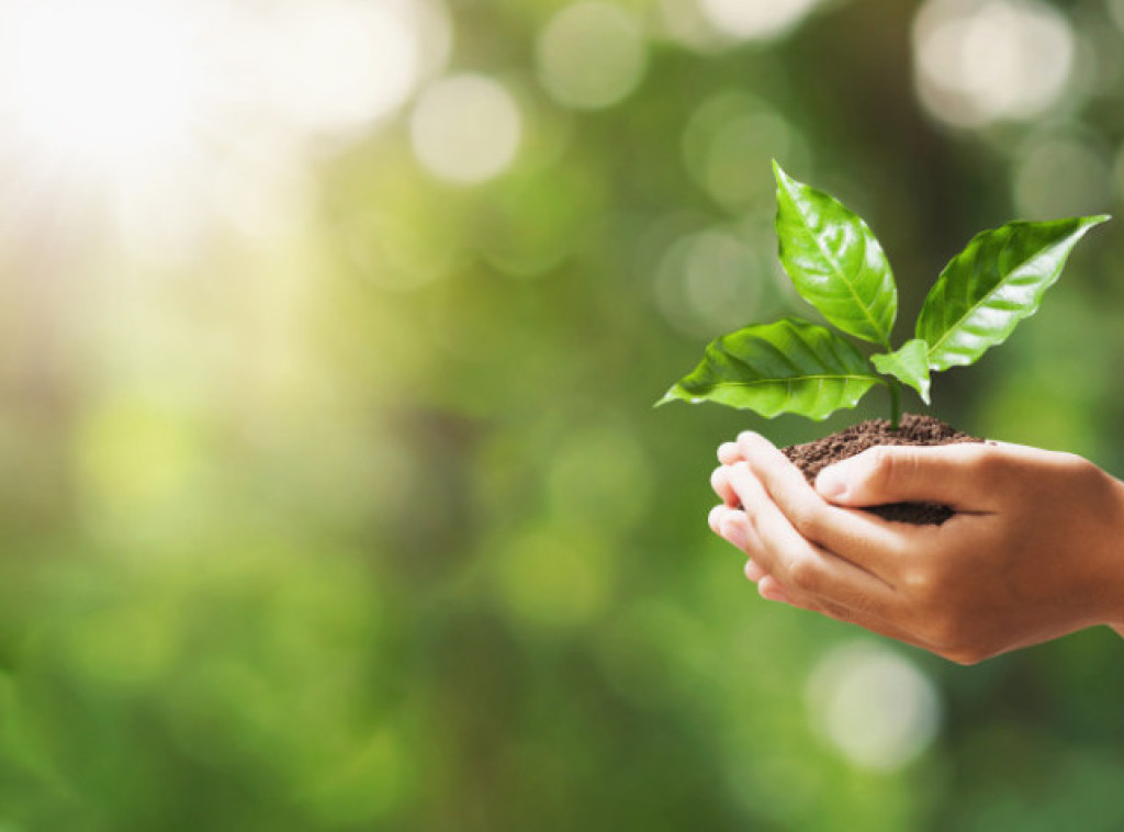 Troškovi za zaštitu životne sredine u 2024. godini iznosili 87.317,5 miliona dinara